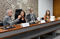 Debatedores pedem regulação dos vídeos sob demanda no Brasil