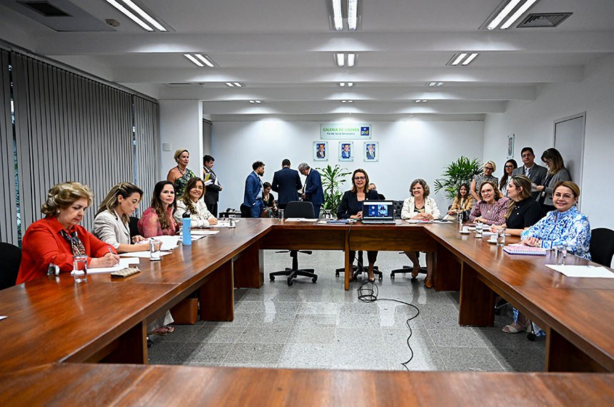 Participam: 
senadora Ivete da Silveira (MDB-SC); 
senadora Soraya Thronicke (Podemos-MS); senadora Professora Dorinha Seabra (União-TO); senadora Dra. Eudócia (PL-AL); 
líder da bancada feminina do Senado Federal, senadora Leila Barros (PDT-DF); 
vice-líder da bancada feminina do Senado Federal, senadora Teresa Leitão (PT-PE);
procuradora Especial da Mulher no Senado, senadora Zenaide Maia (PSD-RN).
senadora Augusta Brito (PT-CE); 
senadora Jussara Lima (PSD-PI).