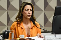 Enfrentamento à violência contra a mulher pode ter prioridade no Senado