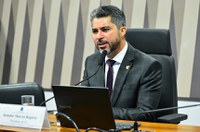 Conversão de créditos ambientais em recursos financeiros está na pauta da CI