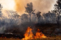 Expira prazo de MP que facilitou repasse de recursos para combate a incêndios