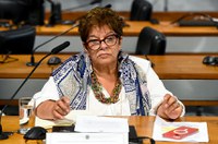 Conselho discute regulamentação do streaming para fortalecer audiovisual