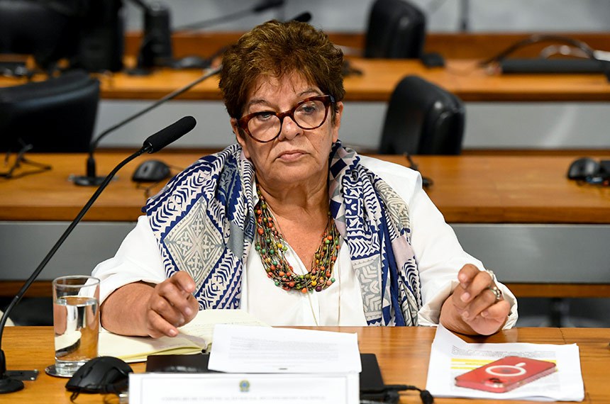 Bancada:
representante das categorias profissionais de cinema e vídeo, Sonia Santana.