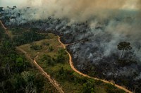 Sancionado crédito de R$ 938,4 milhões para prevenção de incêndios florestais