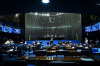 Senado vai debater aumento de casos de feminicídio em sessão temática