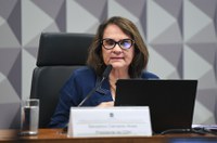 CDH analisa exigência de assento especial em voo para obeso e grávida