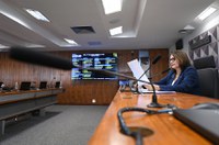 CDH aprova agentes armados em unidades de internação de jovens