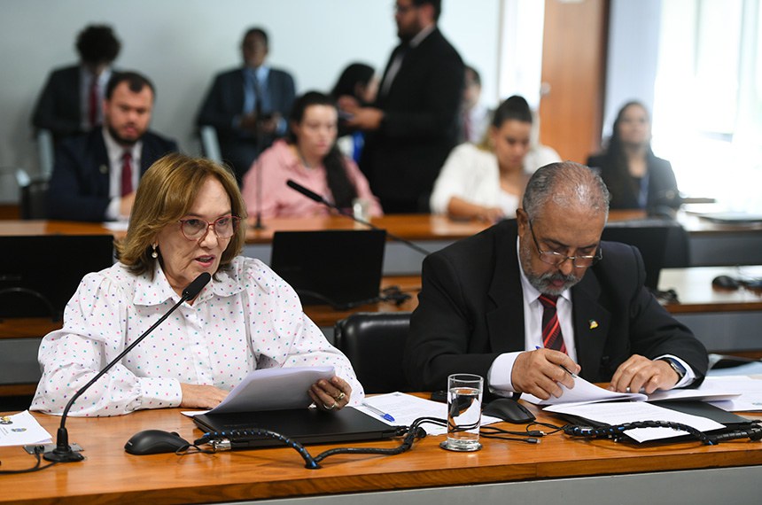Bancada: 
relatora do PL 4.274/2020, senadora Zenaide Maia (PSD-RN) - em pronunciamento; 
senador Paulo Paim (PT-RS).