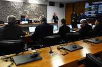 Comissão aprova Tauá (CE) como a Capital Nacional da Manta de Carneiro