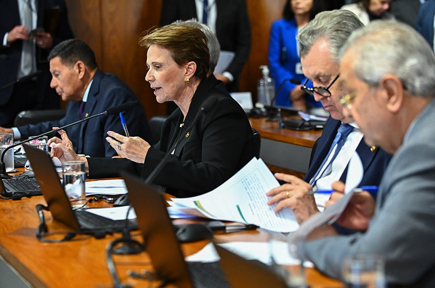 Bancada:
senador Hamilton Mourão (Republicanos-RS);
relatora do PL 2.159/2021, senadora Tereza Cristina (PP-MS); 
senador Luis Carlos Heinze (PP-RS);
senador Jayme Campos (União-MT).