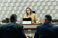 Isenção de IR sobre premiação para medalhistas olímpicos passa na CEsp