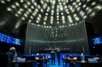 Senado aprova proibição de tatuagens e piercings em cães e gatos