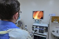 Sancionada política para doenças inflamatórias intestinais