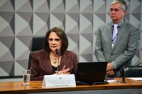 CDH fará debate sobre adoção e direitos humanos de crianças e adolescentes
