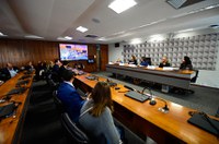 Audiência na CDH aponta soluções para a adoção tardia