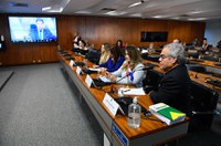 Brasileiros no exterior cobram integração e diplomatas explicam atendimento