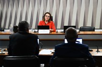 Campanha de combate à violência contra mulher em estádios vai à Câmara