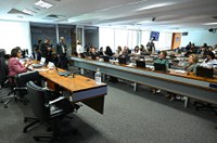 Sistema Nacional de Adoção deve constar em lei, aprova CDH