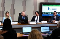 Debate chama atenção para governança climática no Legislativo