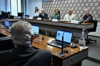 Debatedores enaltecem educação cidadã em audiência sobre Semana Nacional