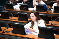 CMO aprova autorização permanente para governo reduzir IR