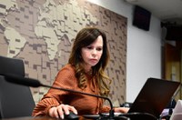 CDR debaterá incentivo a projetos de mineração em audiência na terça