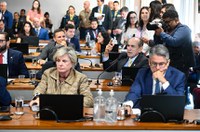 Projeto da reforma eleitoral deve ser votado na CCJ na quarta-feira