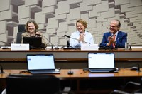 Confederação do Equador: comissão propõe projetos sobre o movimento de 1824