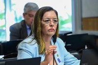 Vai ao Plenário criação de campanha de enfrentamento ao parto prematuro