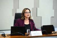 Subcomissão debate preparativos para a COP 30 em reunião nesta terça