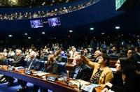 Sessão pelos 10 anos da Lei Brasileira de Inclusão aponta para risco de retrocesso