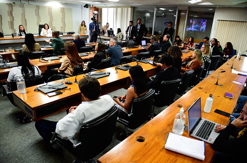 Mesa: 
deputada federal Silvia Waiãpi (PL-AP); 
presidente da CDH, senadora Damares Alves (Republicanos-DF).
