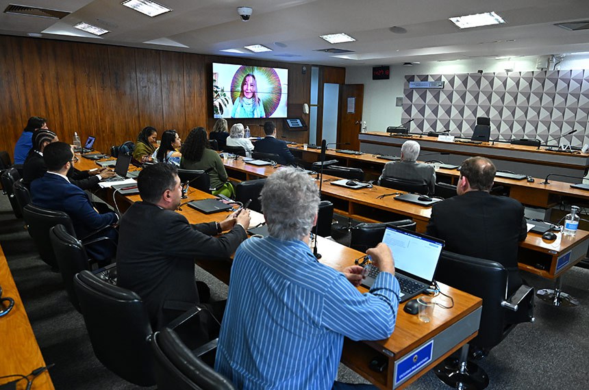 Via videoconferência, REQ 49/2025 - CDH, senadora Mara Gabrilli (PSD-SP), conduz audiência.