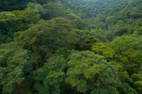 Publicada Lei do Licenciamento Ambiental, com 63 vetos