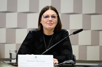 Aprovada na CE, indicada à Ancine defende regulação do streaming