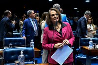 CPMI do INSS será instalada na quarta-feira