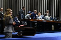 Plenário aprova Lenise Secchin como diretora da ANS