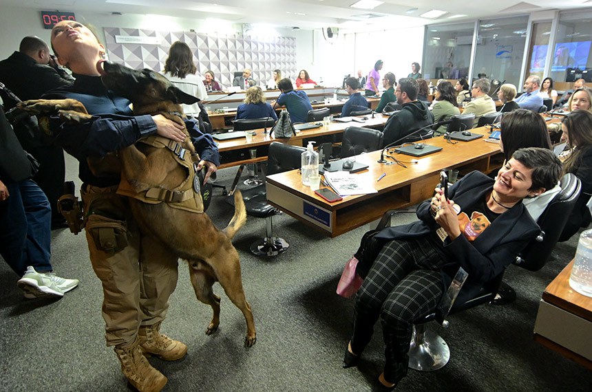 Em destaque:
policial legislativa do Senado Federal, Helena Gomes com o K9 Jethro.
