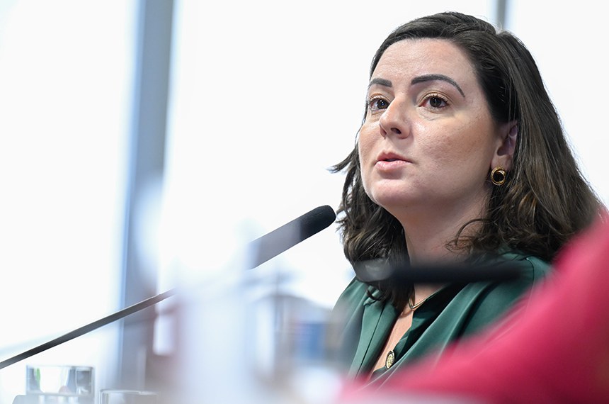Mesa: 
diretora de Apoio à Gestão Educacional do Ministério da Educação (MEC), Anita Gea Martinez Stefani.
