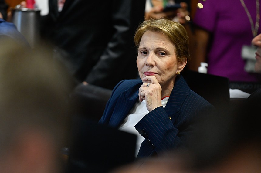 Senadora Tereza Cristina (PP-MS) à bancada.