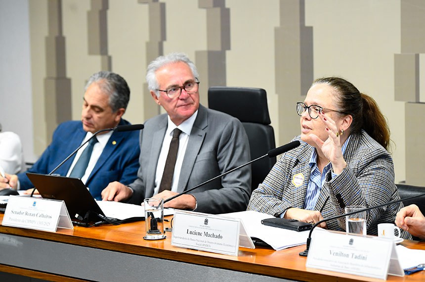 Mesa: 
relator da presidente da CMMPV 1.303/2025, deputado Carlos Zarattini (PT-SP);
presidente da CMMPV 1.303/2025, senador Renan Calheiros (MDB-AL);
superintendente do Banco Nacional de Desenvolvimento Econômico e Social (BNDES), Luciene Machado.