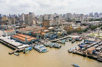 CRE analisa acordo que trouxe COP 30 para o Brasil