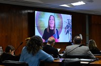 Subcomissão debate Convenção da Haia e casos de violência