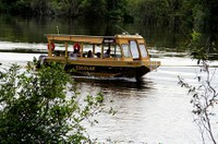 CI analisa plano de navegabilidade e conservação de rios da Amazônia