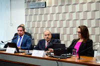 CEsp debate como conciliar educação e esporte na formação de jovens atletas