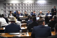 CPMI do INSS: depoimento de ‘Careca do INSS’ deve ocorrer na quinta