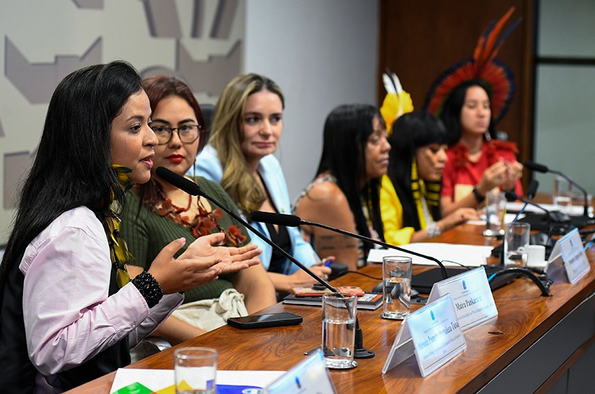 Mesa:
defensora pública do Estado da Bahia, Aléssia Pamela Bertuleza Tuxá em pronunciamento;
representante da Articulação dos Povos Indígenas do Brasil (Apib), Maíra Pankararu; 
presidente eventual da CDH, senadora Augusta Brito (PT-CE);
representante do Povo Indígena Fulni-ô, Aureni Fulni-ô;
deputada Célia Xakriabá (PSOL-MG); 
mulher terra e comunicadora da Articulação Nacional das Mulheres Indígenas Guerreiras da Ancestralidade (Anmiga), Samela Sataremawé.