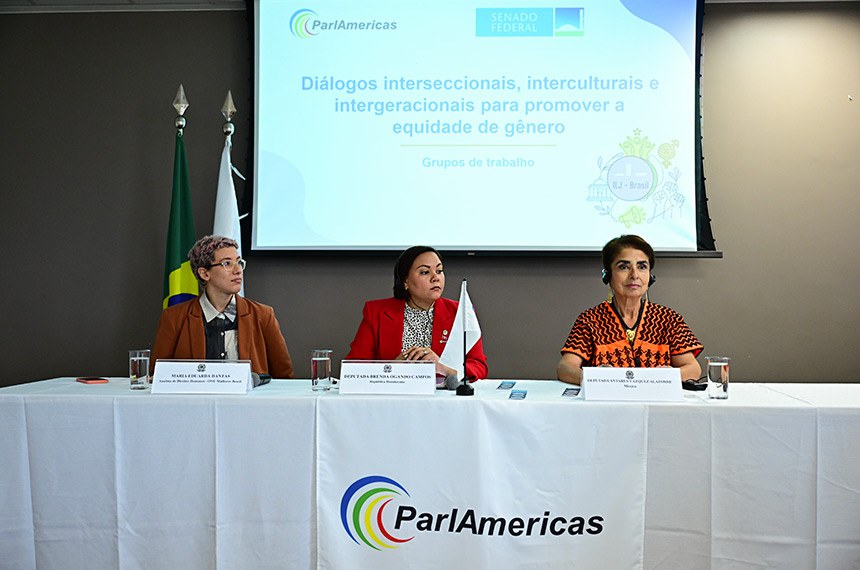Mesa:
analista de Direitos Humanos - ONU mulheres Brasil, Maria Eduarda Dantas;
representante da República Dominicana, deputada Brenda Ogando Campos;
representante do México, deputada Antares Vazquez Alatorre.