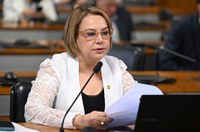 Concurso público deve incluir conteúdo sobre violência de gênero, decide CDH