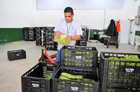 Lula sanciona lei de incentivo à doação de alimentos